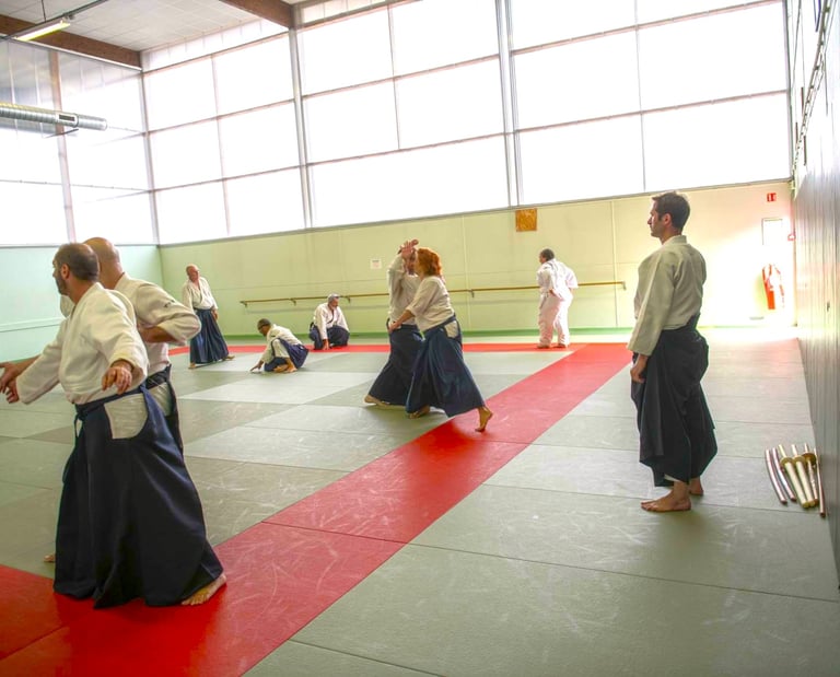 Dojo d'Aïkido de Mérignac Matsukazé