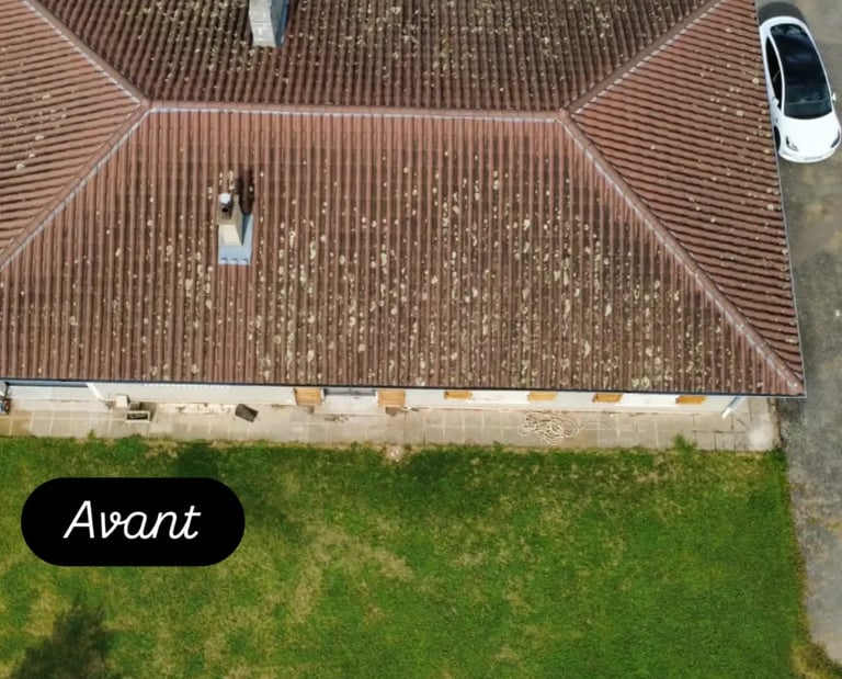 Avant après nettoyage de toiture par Démouss ProTech à Saint-Chamond