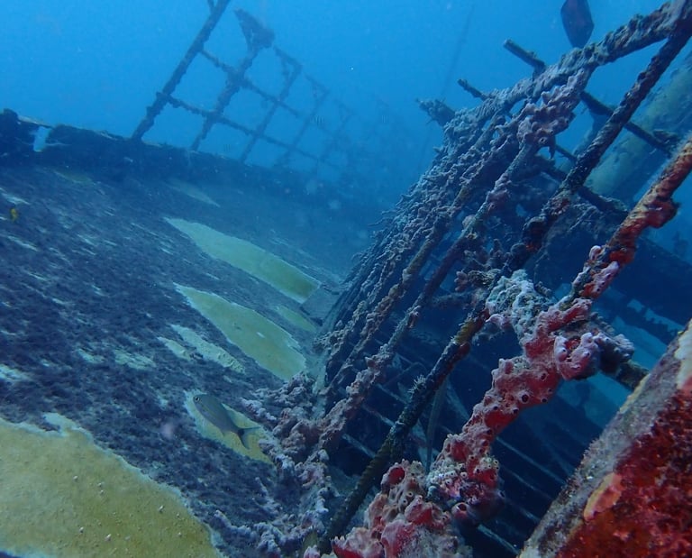 JabJab Wreck
