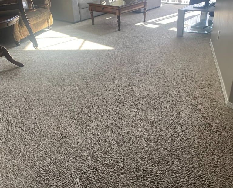 Image of our carpet cleaning results in an apartment