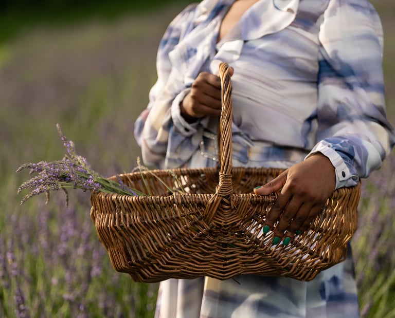 B4278 dress pattern tiracooks