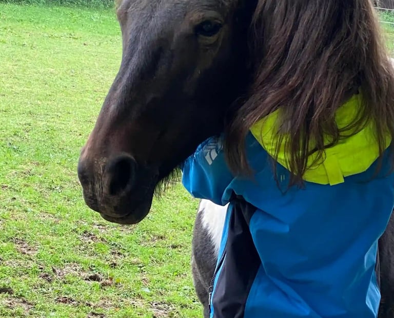 Calin entre un cheval et une femme - médiation équine