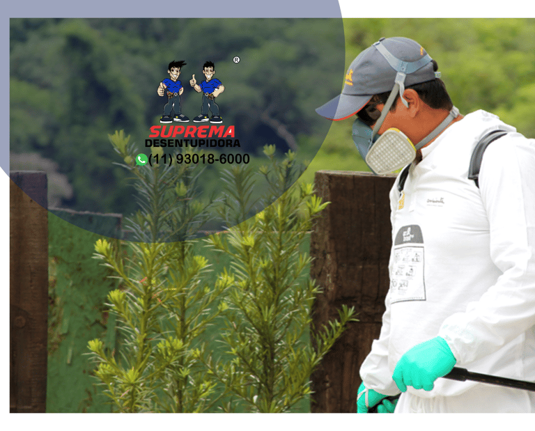dedetização residencial