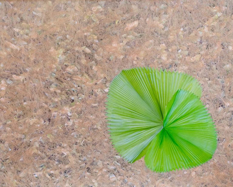 PAROI 2016 Fibre de bananier, papier  ©Maija Lyytinen