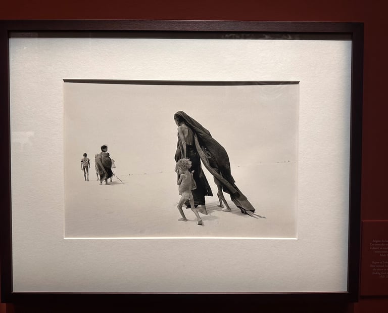 The nomads from the region of Lake Faguibine cross the desert in the hope of finding food, Mali 1985