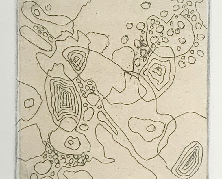 Miettes, 2025 etching on Japanese paper ©Esther Sherrow