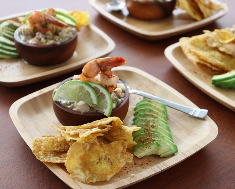 Fresh Costa Rican ceviche with plantain chips served during luxury catamaran tour in Guanacaste