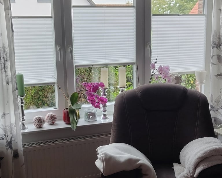 Plissee Transparent und Lichtdurchlässig