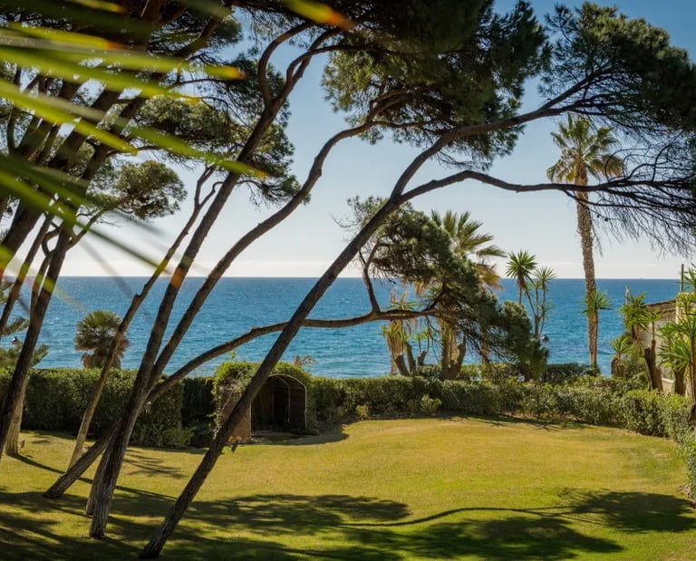 Garden and sea view at Villa El Rincon with pine trees
