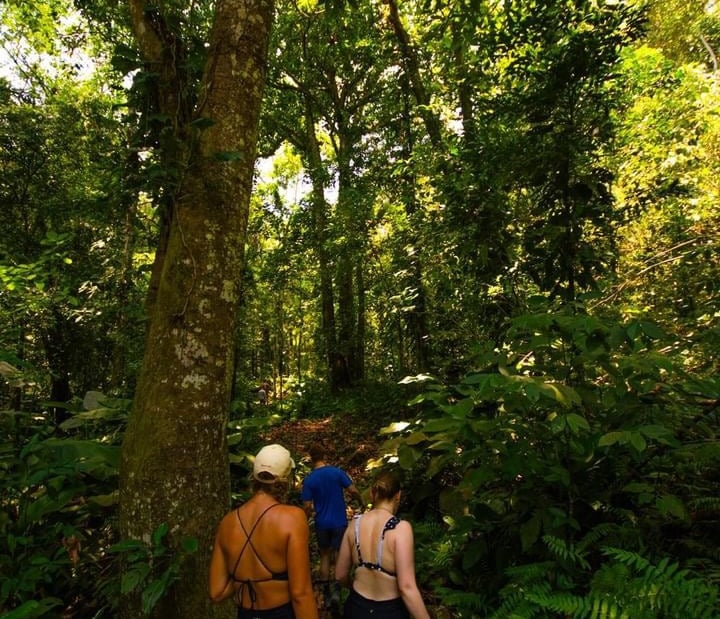 Trekking in the Sierra Nevada