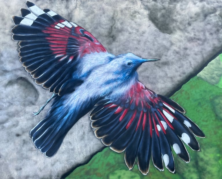 une fresque d'un tichodromes échelette