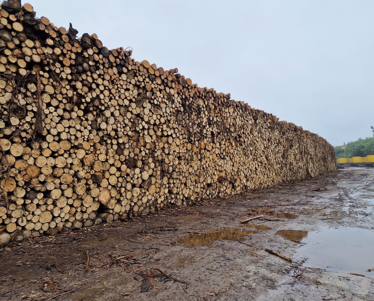 Organización y Distribución de la madera en el parque acorde a los parámetros del cliente.