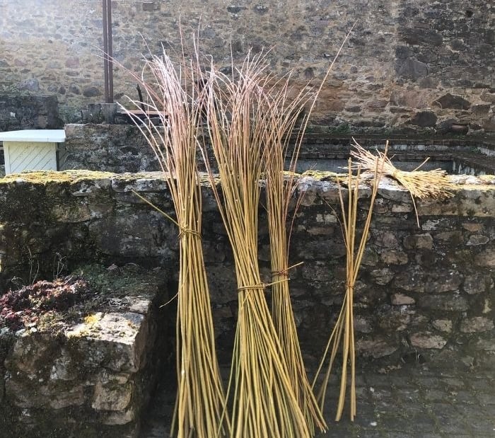 Brins d'osier - Atelier Saule Sister