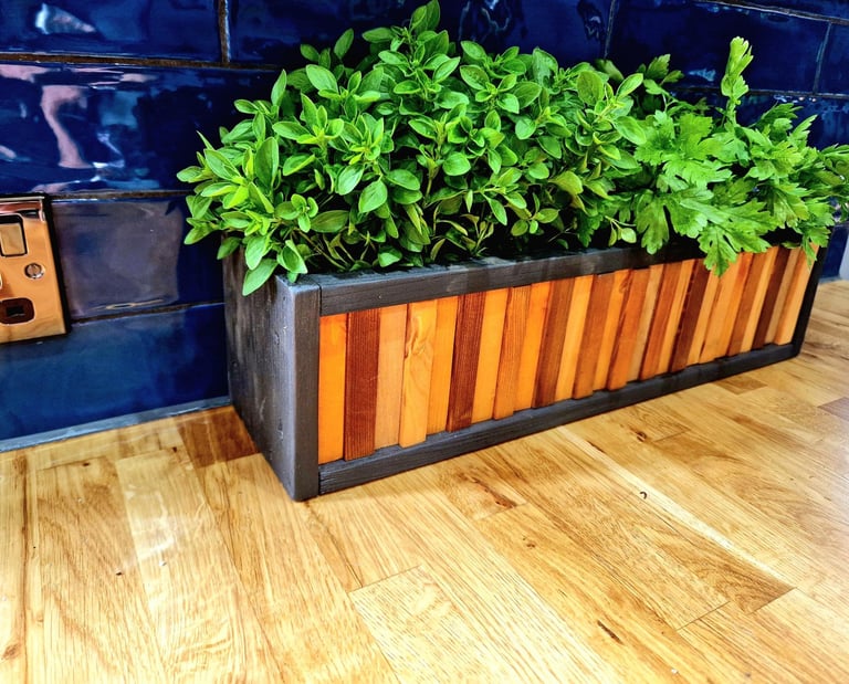 Herb planter DECORATIVE PLANTER POT HERB CATCUS CACTI SUCCULENT MINI GARDEN PLAN POT TIDY ORGANISER DESIGNER POT NARROW LONG 