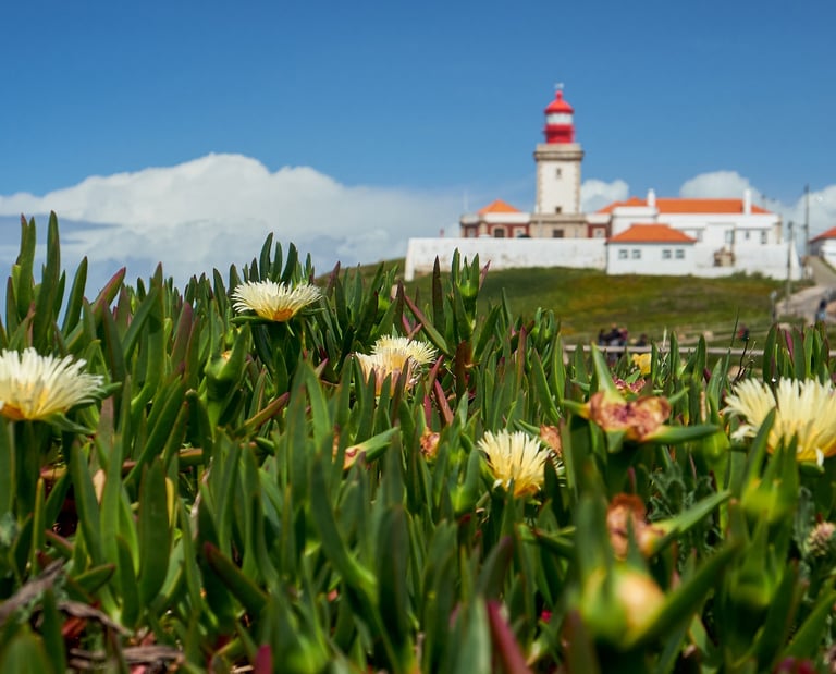 Flowers and grass with a lighthouse tower in the background