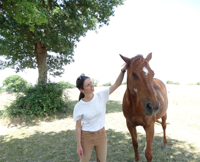 Equithérapeut caressant un cheval