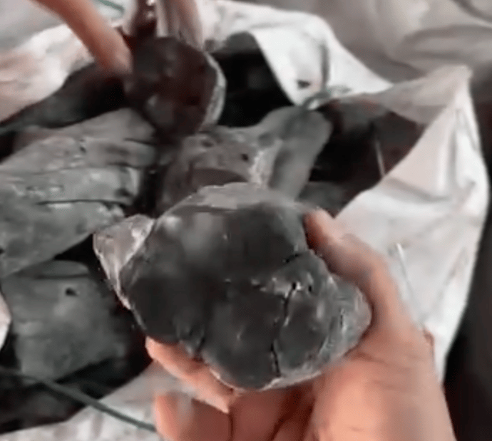 Coffee Charcoal White Charcoal Binchotan