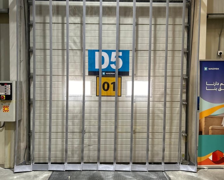 Magnetic Strips door