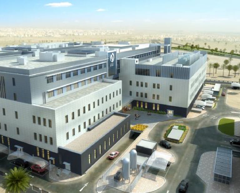 Sinai Star Projects
