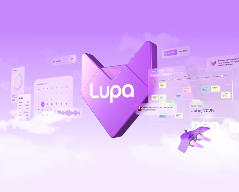 Motion Design