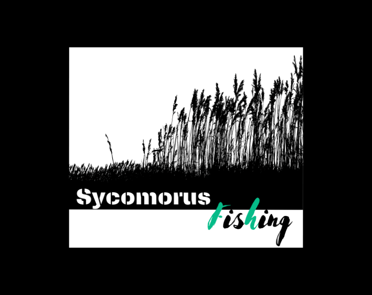 SycomorusFishing image 