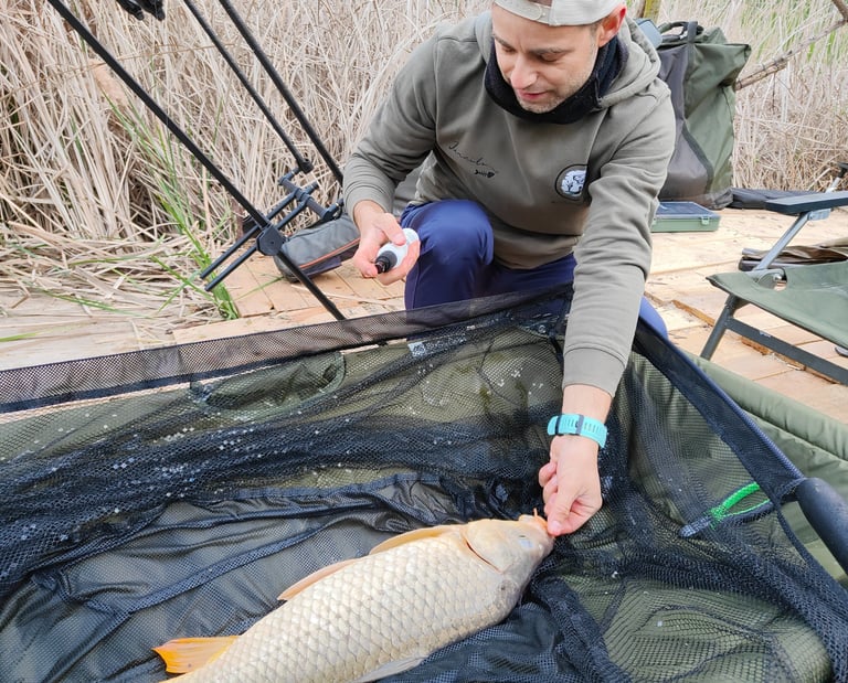 carpel fish in a fishing net