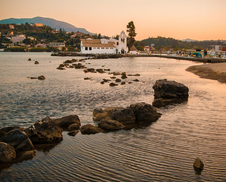 a bird is standing on rocks in the water