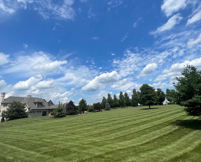 excellent landscaping and hardscaping of grass, stones and trees by NP Landscaping