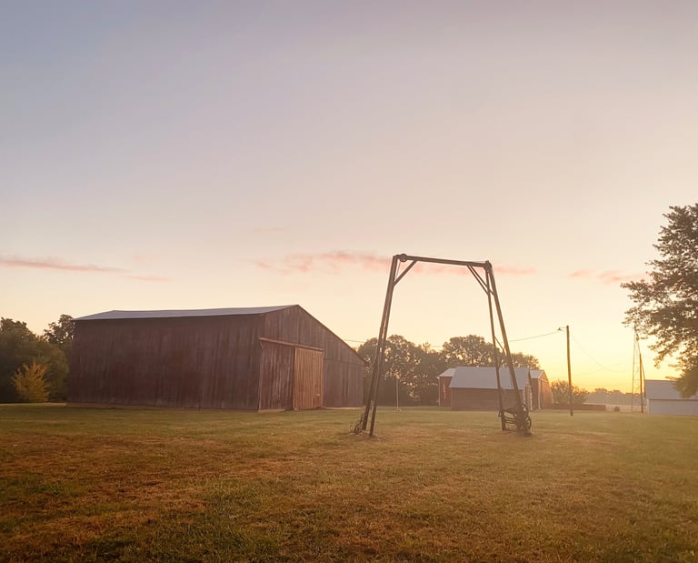 a swing - frame swing set up in front of a small barn Knoxville Illinois