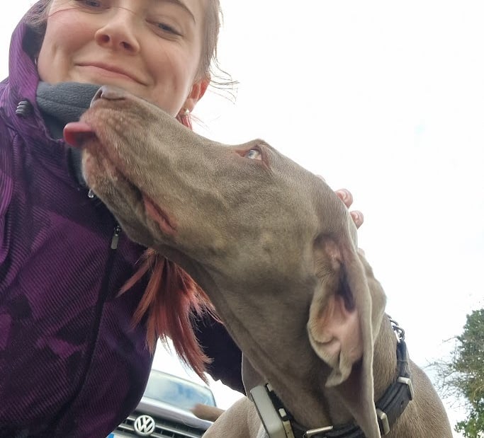 Pet sitter and dog walker doncaster