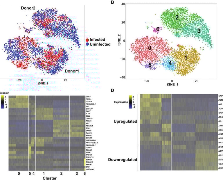 single cell bioinformatica mexico