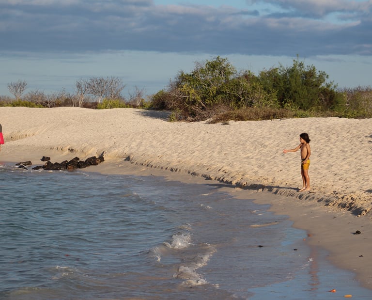 Tailor-made Galapagos journey combining islands and mainland Ecuador