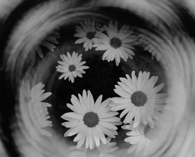 Decorative image by Lisa from Pexels