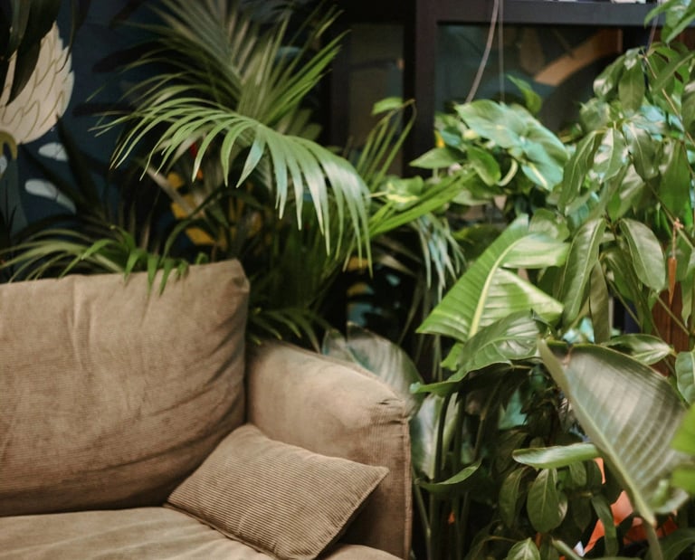 Couch surrounded by lush plants symbolizing comfort and privacy, online psychological counseling
