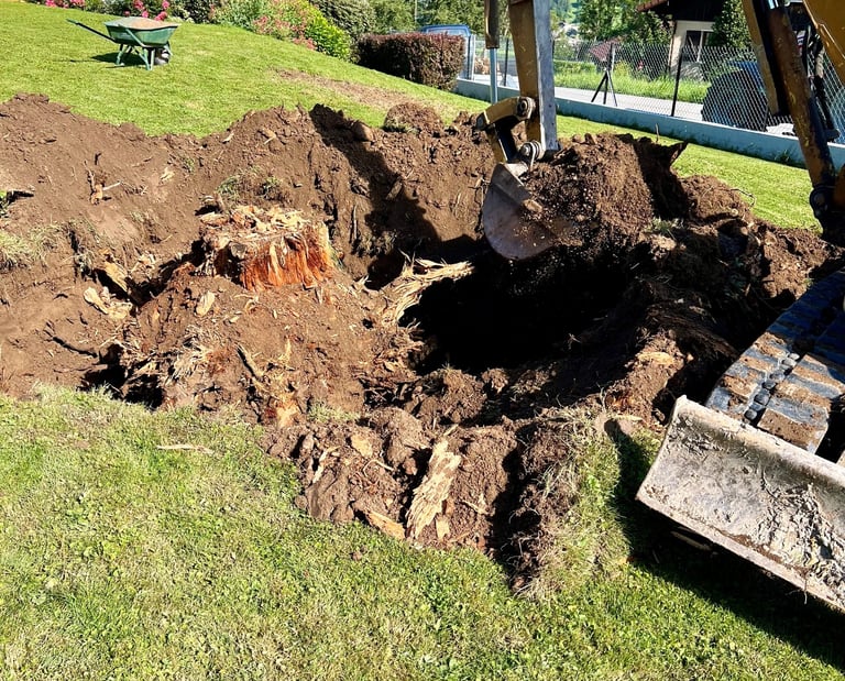 Pelle mécanique en action lors du dessouchage d’un arbre, chantier de terrassement au bout du lac d’