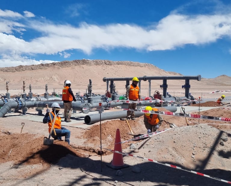 constructora salta