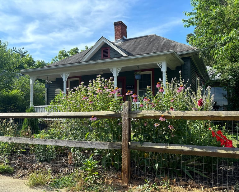 Mallow Rose Cottage Midsummer 2024