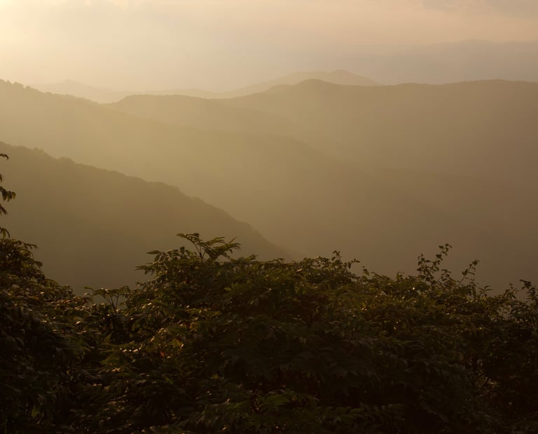 Sunset from Craggy Gardens Summer 2022