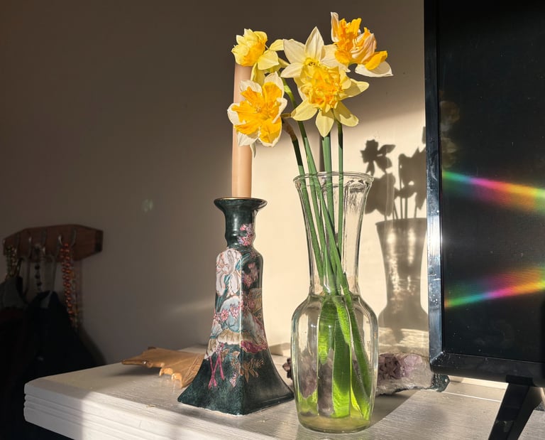 Cut daffodils at Mallow Rose Cottage, Spring 2024