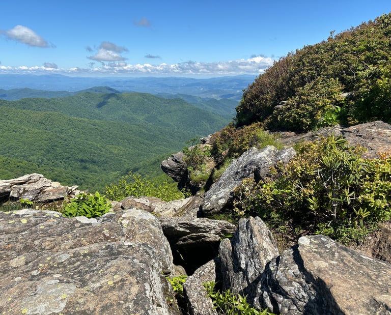 View from Craggy Pinnacle Summer 2024