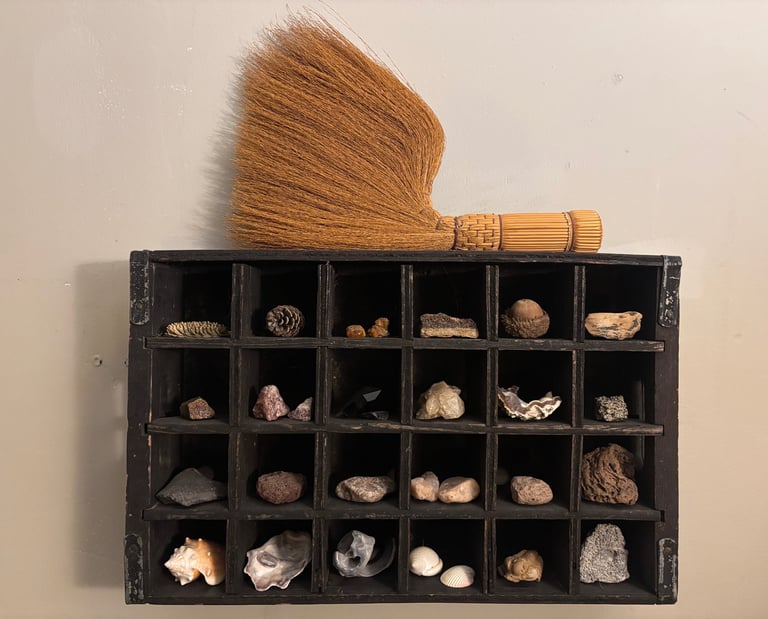 Crate of Curiosities by Trevor Leach