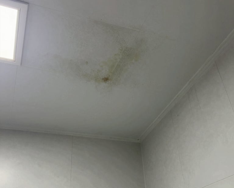 a man riding a skateboard down the side of a ramp