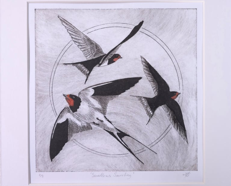 Hand-pulled etching titled Swallows Swirling featuring three barn swallows in flight with a circular backdrop.