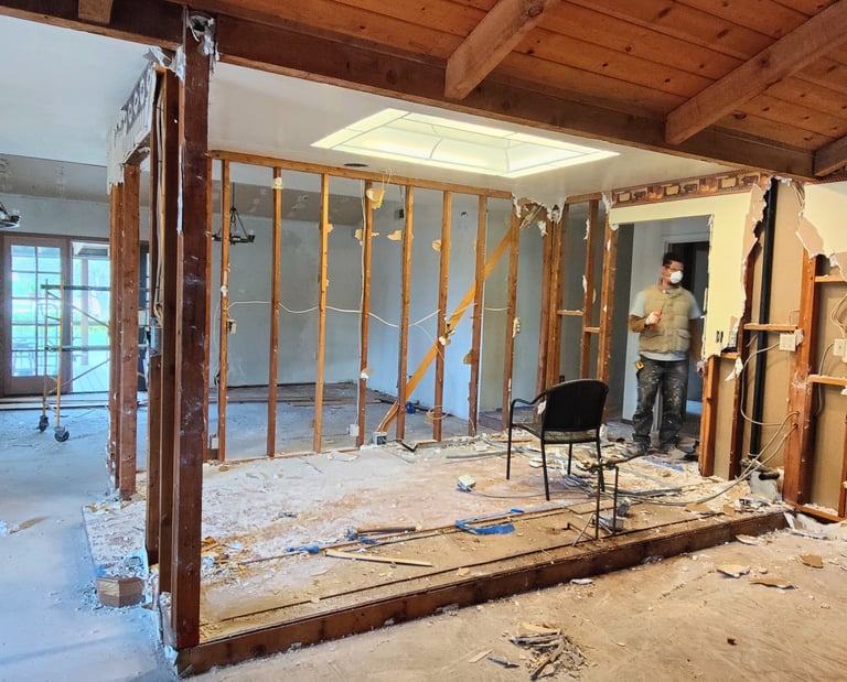 Work in progress from full home renovation