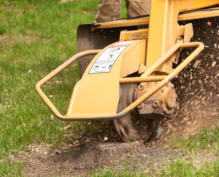 burnham tree services stump grinding