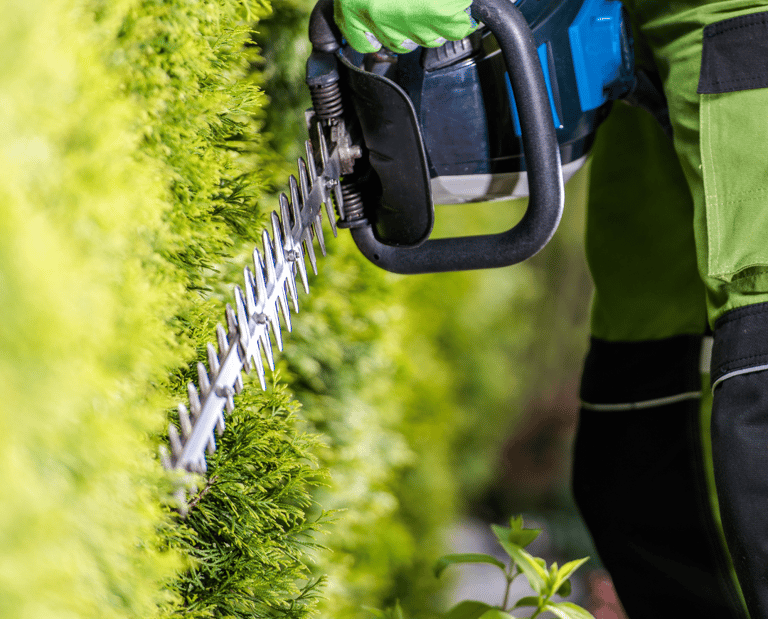 hedge trimming essex