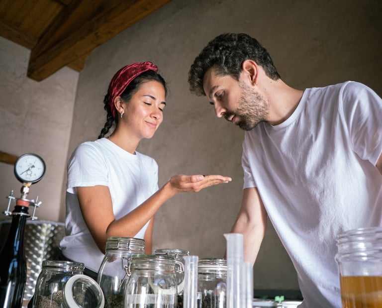 Selvatica Lab produttori di kombucha italiana