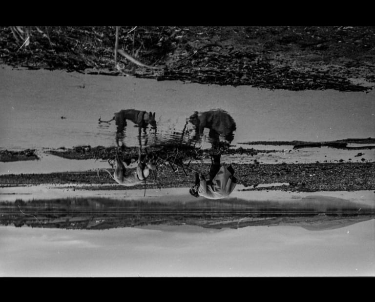 the mirage reflection of a woman and her dog contributing to a greater picture of nature together