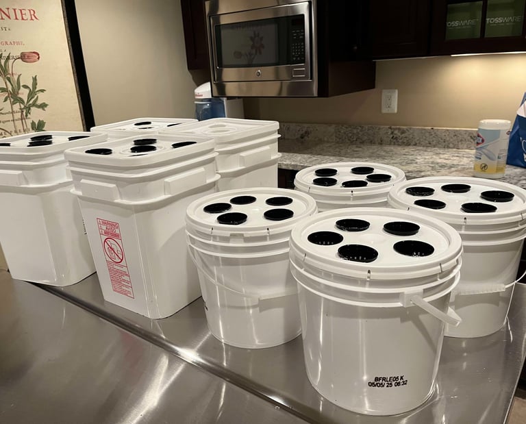 Hydroponic grow buckets on a table