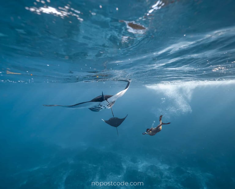 Snorkeling